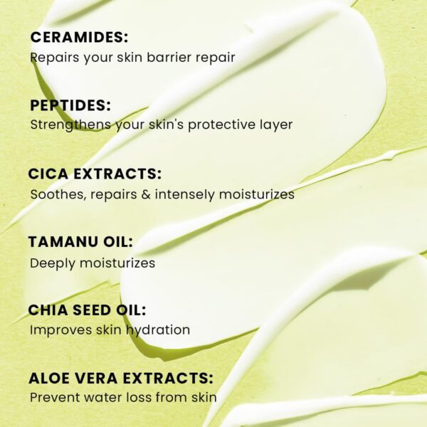 Hyphen Barrier Care Face Cream for Normal & Dry Skin | Peptides & Ceramides Face Moisturizer That Strengthens Skin Barrier & Heals Dry Skin| Deep Moisturizing Face Cream for Men & Women | 50Ml - Image 3